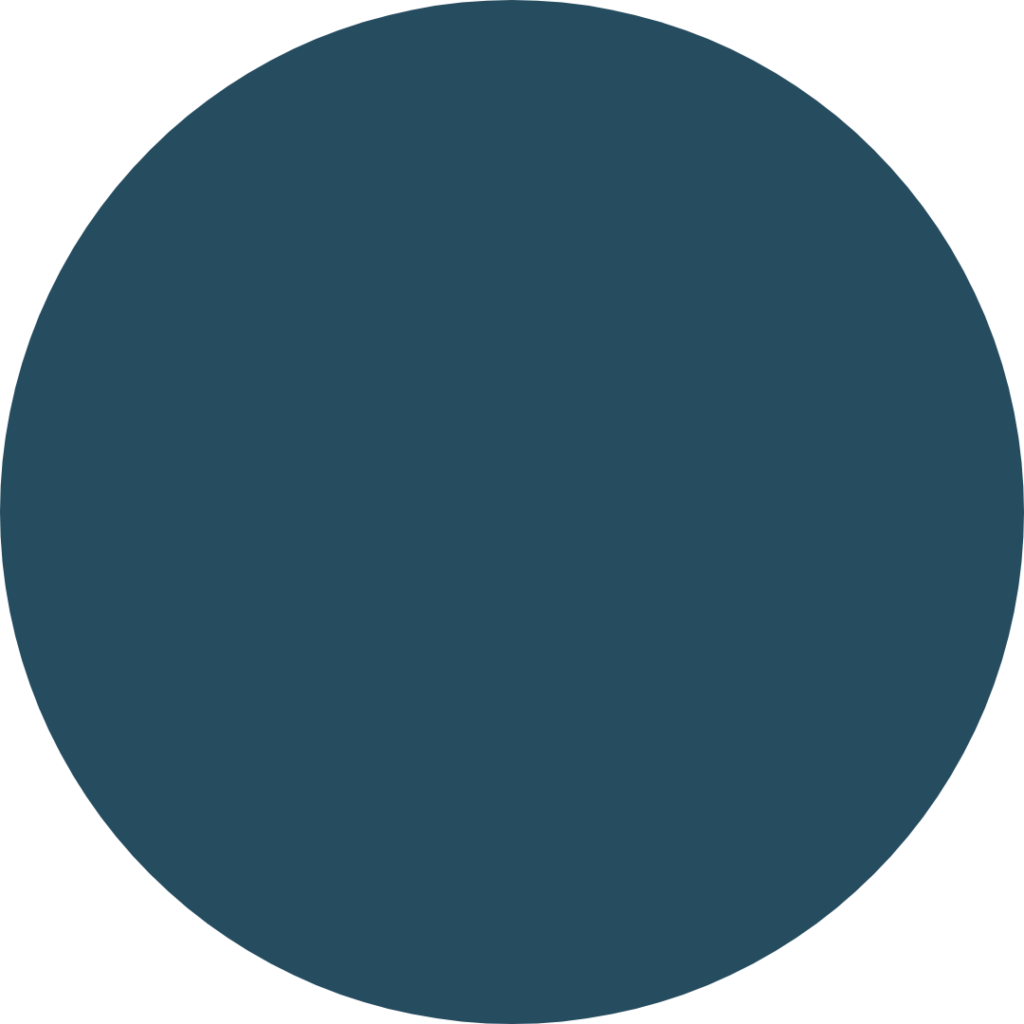 A blue circle is shown in this image.